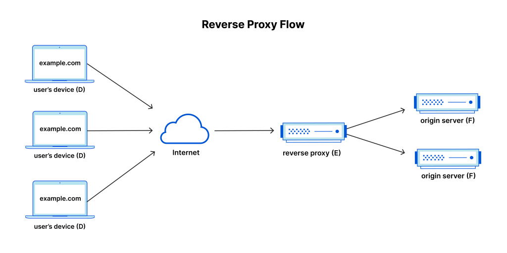 Reverse Proxy: Cara Kerja, Fungsi, dan Dampaknya ke SEO